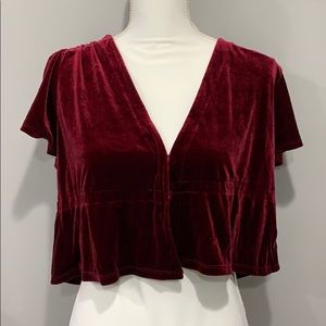 Urban Outfitters Dark Red Velvet Clasp Crop Top